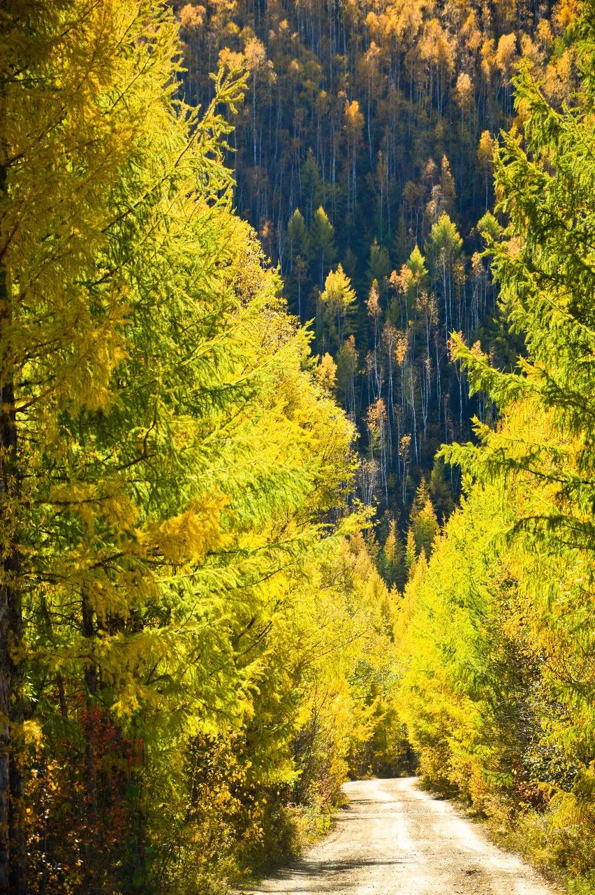 黄果树瀑布 《国家地理》评选中国一生必去的50个地方，我去过26个，你呢？