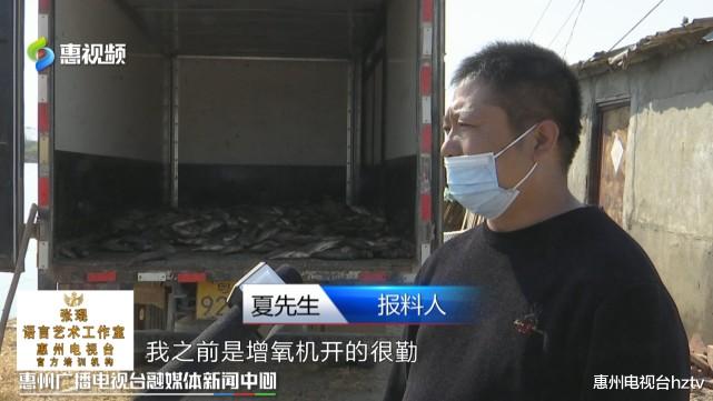 惠州电视台hztv 合同到期后拒绝搬迁 养鱼户被断电损失惨重