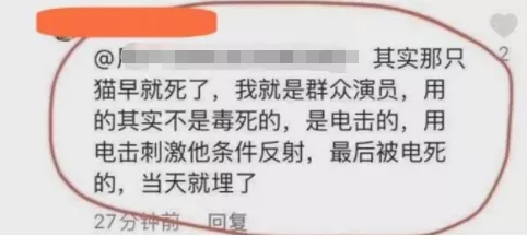 罗生门|知名导演深陷虐待丑闻，全网索要“原始视频”：果然又是他！