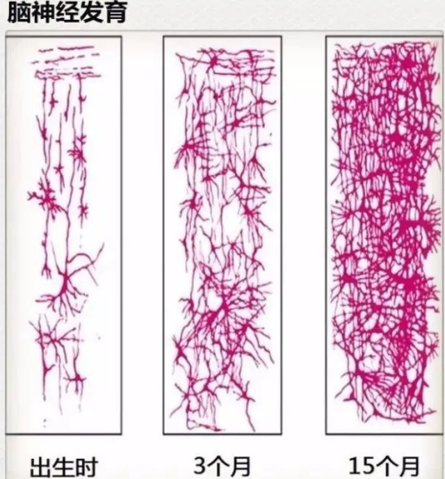孕妈酱|心理学家:宝宝2岁前有一些奇怪的行为,或许说明在悄悄变聪明