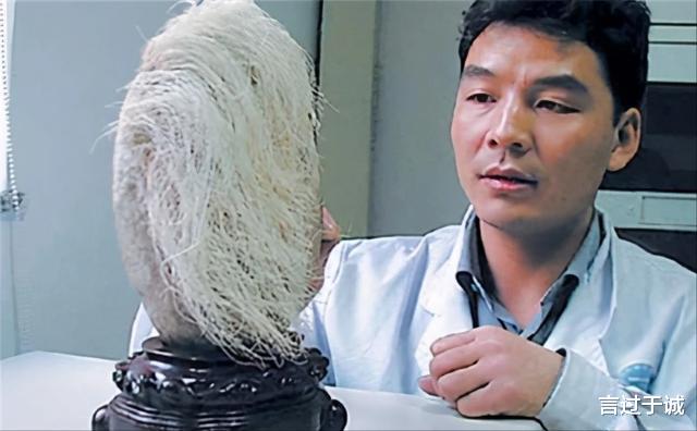 1987年,辽宁人一小伙花了18000元买了一块长满毛发的石头,谁知半年后,这块石头的毛发竟然长了2厘米