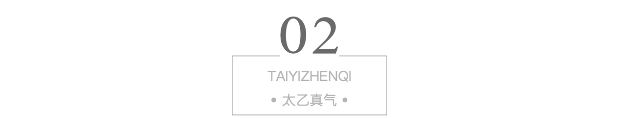 太乙真气 进村东北虎的萌爪一拍车窗破碎，老虎一掌有1000公斤力，武松打虎是假的还是有科学依据？
