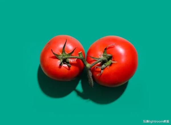 |摄影中的美学是什么：创建精美照片的简单指南