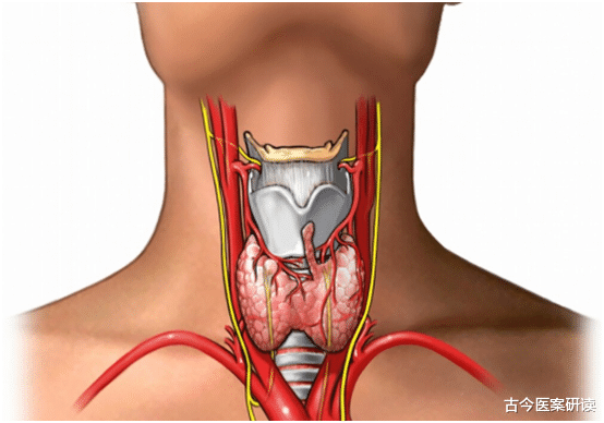 医生|女教师患甲状腺结节半年增大1cm，医生怒斥：这种早餐怎能天天吃