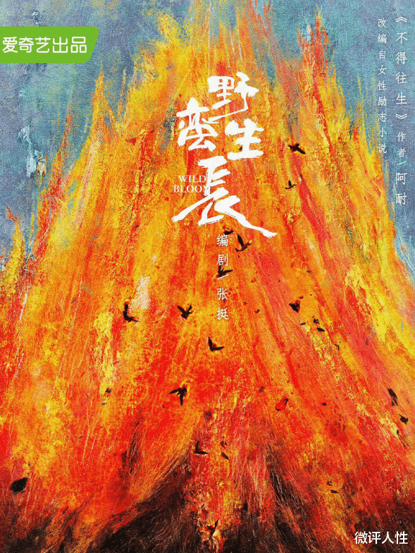 赵丽颖|谁是凶手刚完结，赵丽颖又出佳剧，剧情新颖，男主竟是29岁的他