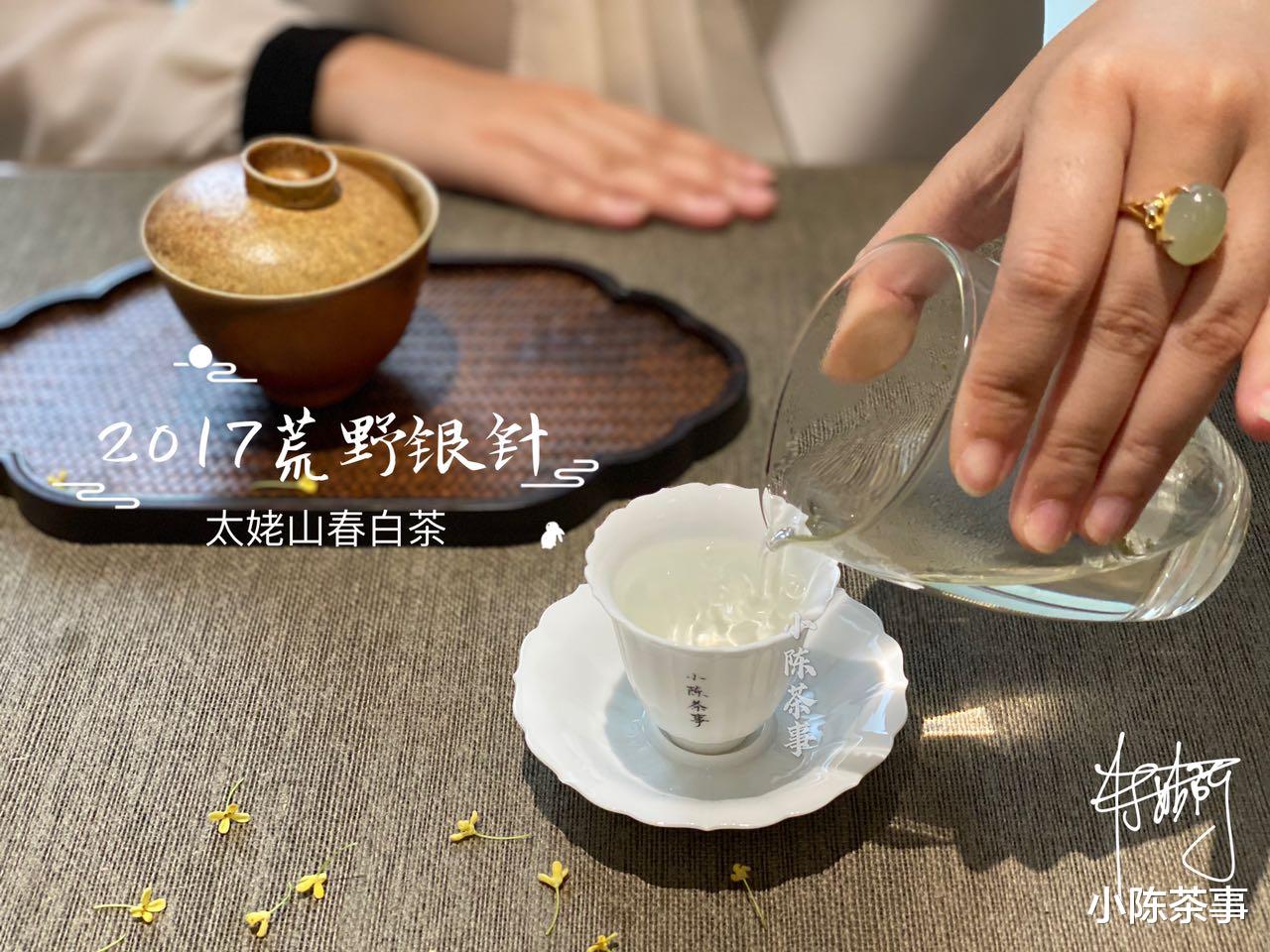 黑茶|冲泡绿茶、白茶、红茶、黑茶,都要醒茶吗?醒茶和洗茶是一样吗?