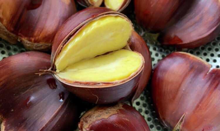 板栗|剥板栗,不要再傻傻用剪刀了,教你一招,1分钟轻松剥完60个