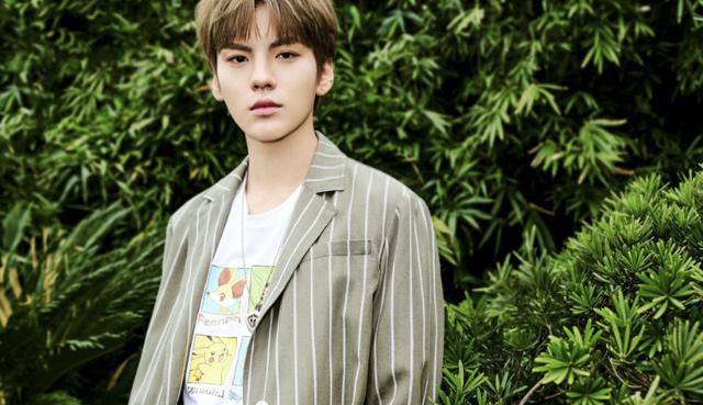 放羊的星星|《放羊的星星》正式翻拍，男女主角已确定，难得被观众一致认可