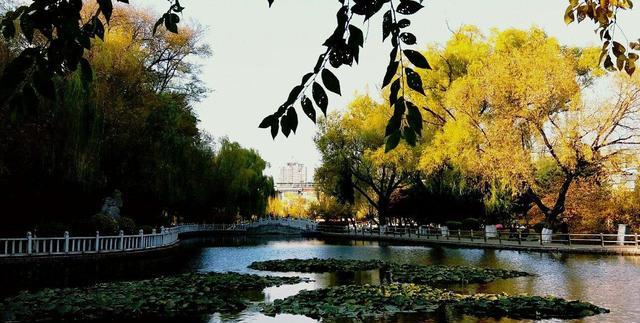 软软够可爱 曾是我国第一批直辖市,如今却出现人口负增长,而且就在东北地区