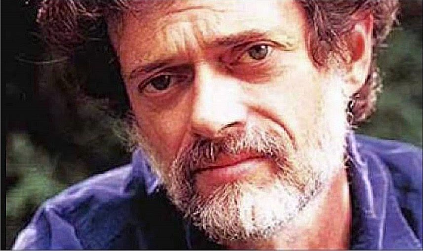 周周小宸|诡异的人类起源假说,改造我们大脑的居然是真菌蘑菇