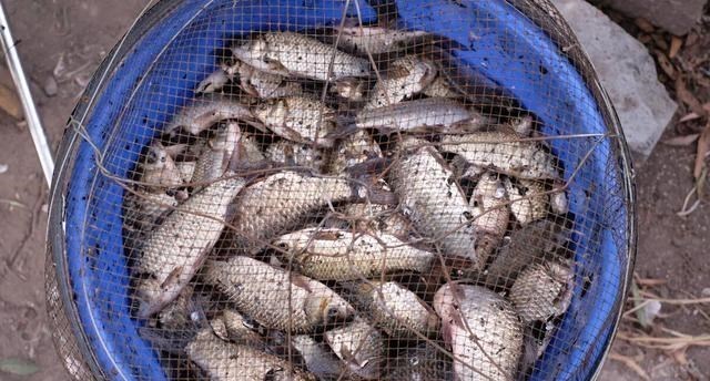 反恐|反恐重点水域也敢钓鱼？资源枯竭，禁钓紧箍咒，让钓鱼人越雷池！