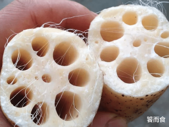 莲藕别瞎买,7孔和9孔的区别很大,买错了难吃还浪费钱