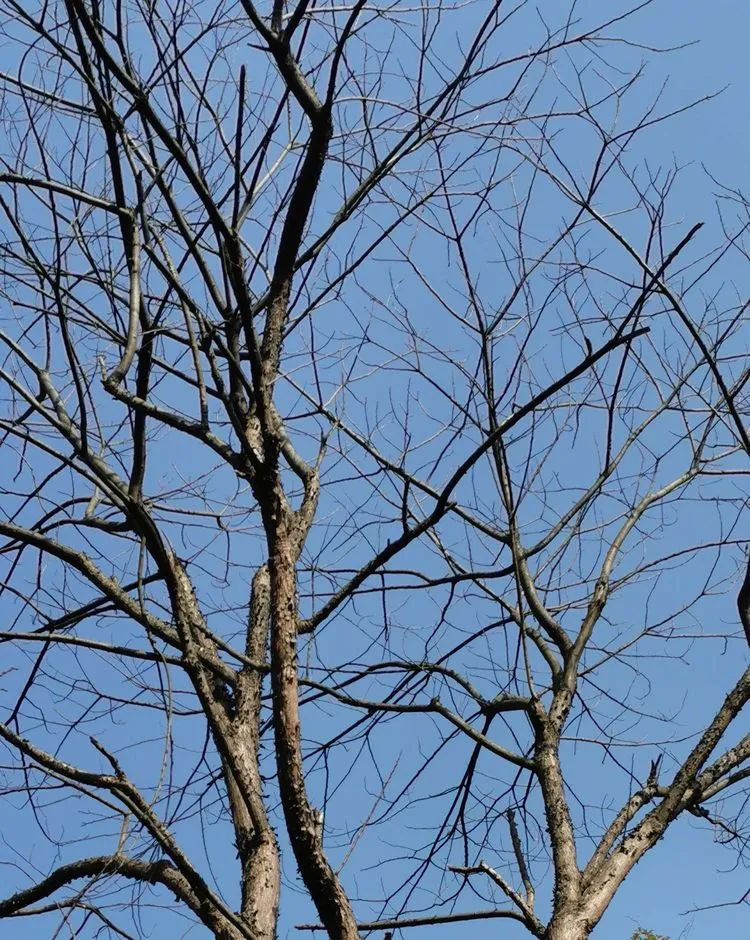 南陵快报 南陵的这位妈妈，收到了儿媳妇的一个红包