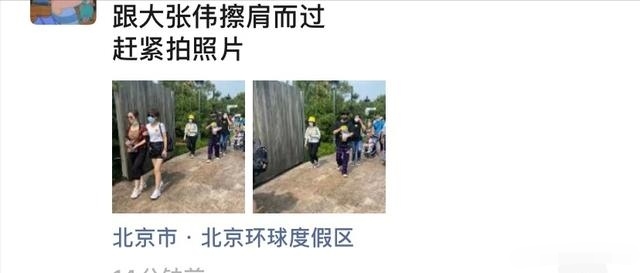 大张伟|大张伟带妻子游影城，妻子体型太壮实，全程拎包似保姆