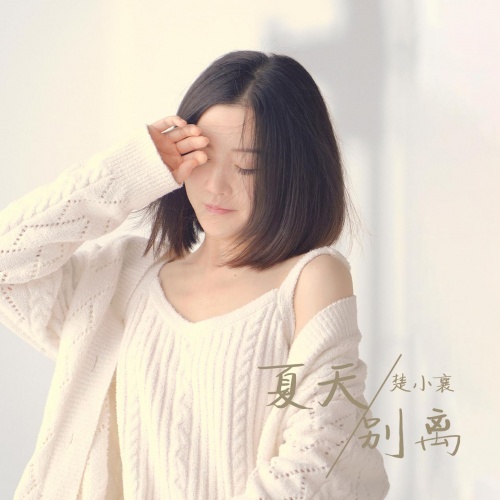 夏天别离|一首80后单曲循环的歌《夏天别离》