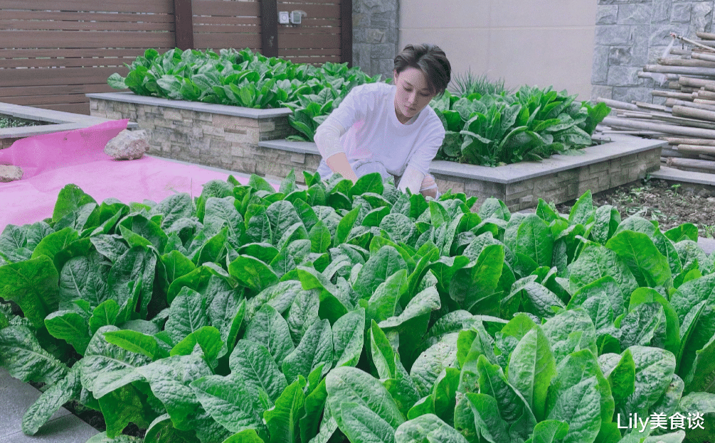 张馨予|张馨予晒自家院子火了，有蔬菜水果还赏花，网友：把生活过成了诗