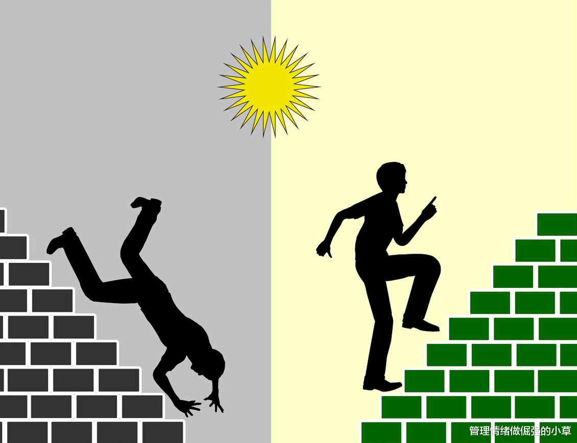 管理情绪做倔强的小草|如何坦然面对自己的失败