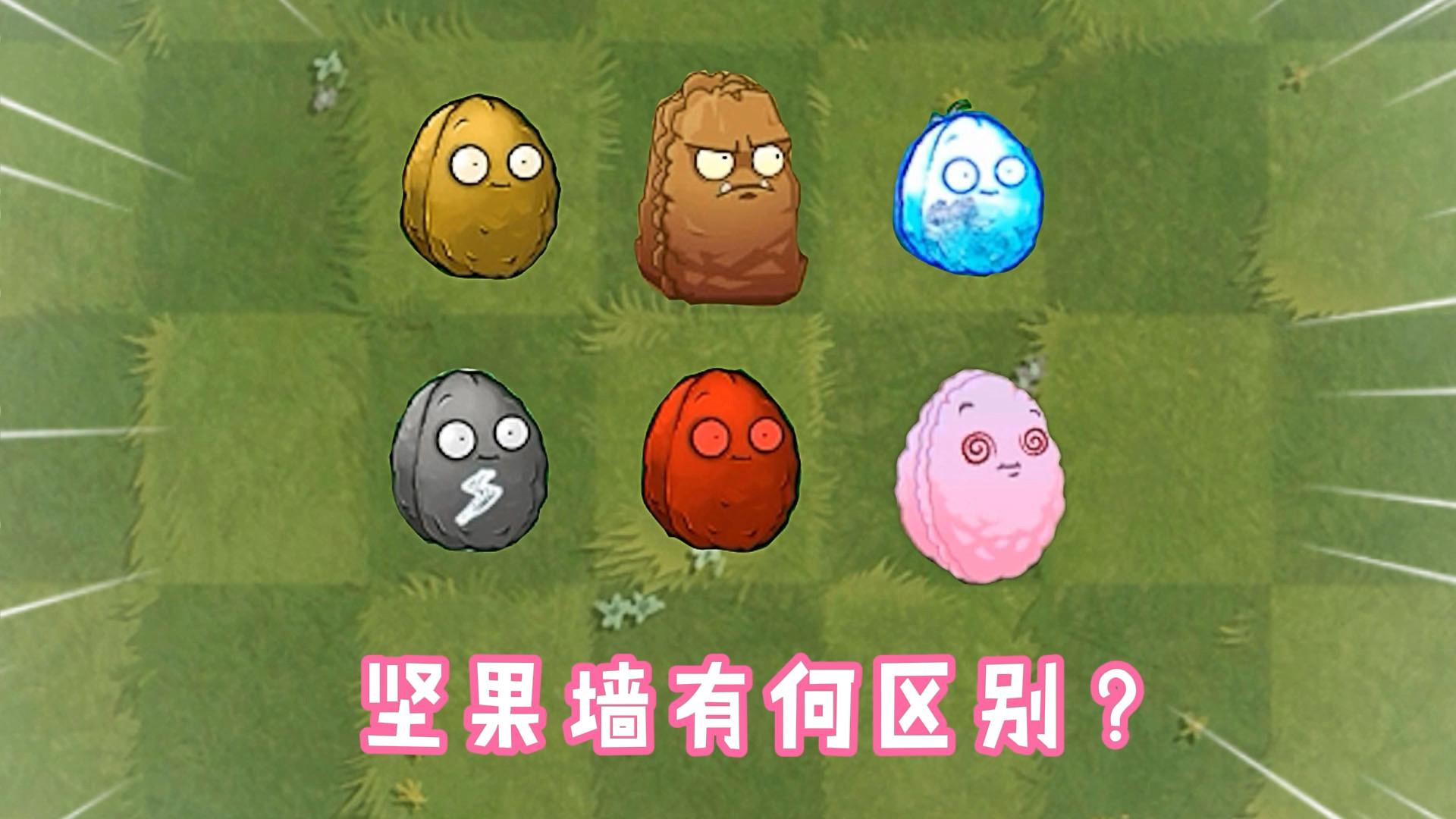 植物大战僵尸:同样是坚果墙,区别到底有多大?