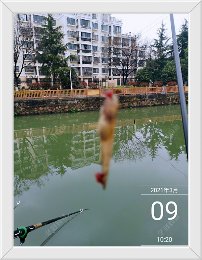 沙滩|早春同一窝点 不宜多次作钓