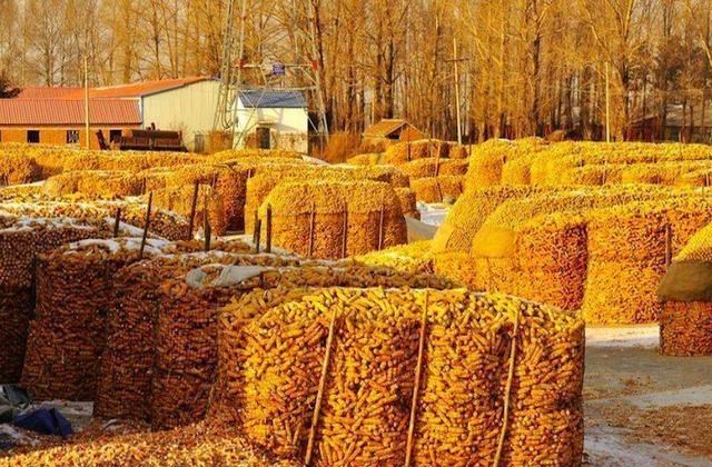 通胀 又一国陷高通胀,房子和车子将一文不值?只有“这个东西”最值钱