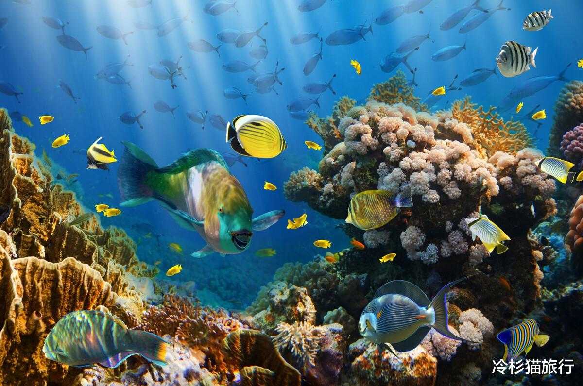 沙滩 入选CNN全球一生必去的50个地方，中国有5个上榜，你去过几个？