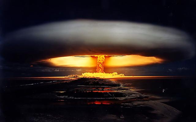 基因 人类为什么要让动物回交，回交有什么好处吗？