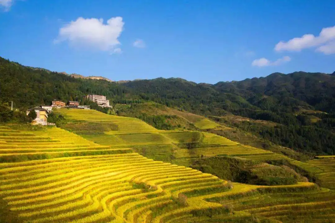 旅行|11月去哪里赏秋？6个人少景美的旅行地，正是你要出发的方向