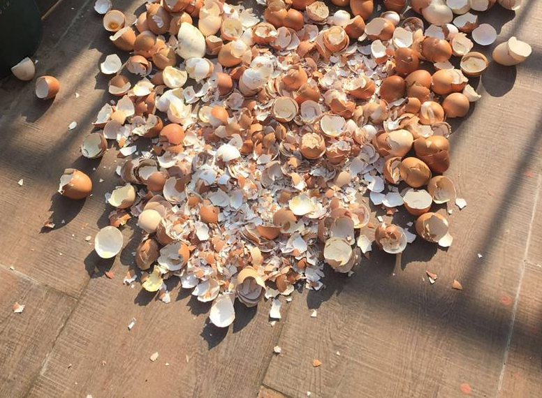 这种厨房垃圾不能扔，加工后养花，比花钱买的肥还温和好使