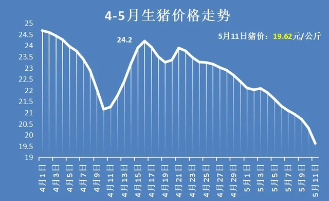 生猪价格 猪价严重预警：11日东北猪价跌进“8元时代”，究竟还要跌多少？