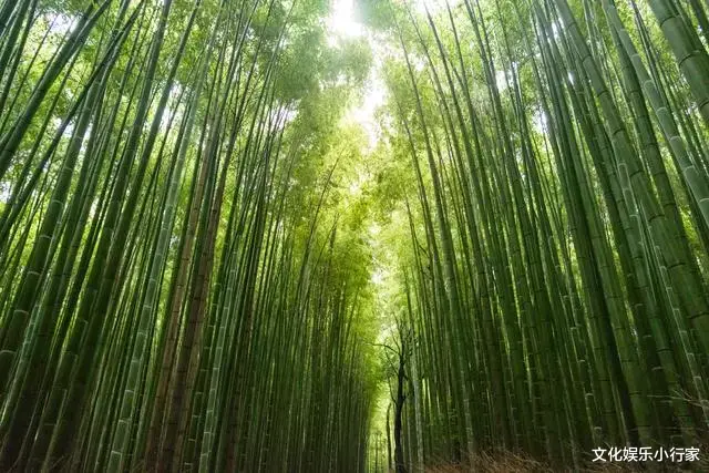 退休|惜命最好的方式，竟不是养生，惊醒无数人！