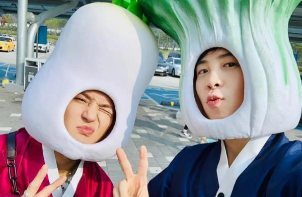 蔡文泉|严敏新综阵容曝出，男人帮无一人回归，但有他们加盟却一点不遗憾