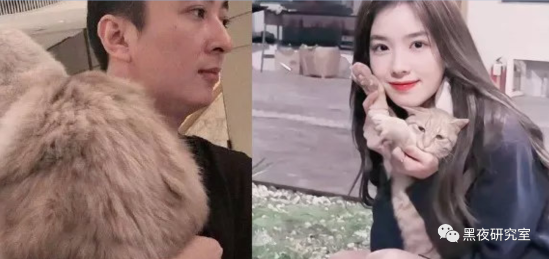 王思聪|思聪恐被健林排斥接班无望？只想泡妞交配当舔狗的下场