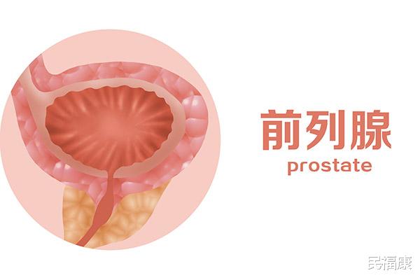 运动|长期坚持做提肛运动,对身体有什么好处? 3种提肛方法,不妨换着做