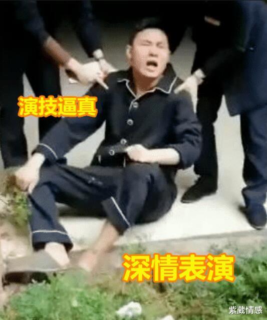 紫葳情感|评“重庆两幼童15楼坠亡生父被捕”：古人欺我，虎毒也食子