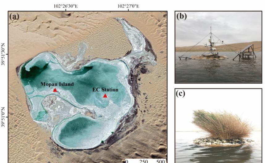 为中国争取国际话语权！针对全球高度重视问题，985团队提供证据