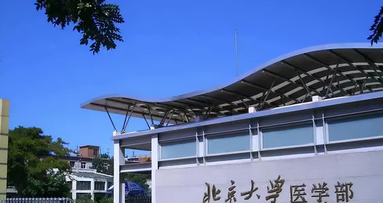 吴洪娜聊说育儿|北大医学女博士火了,却因高颜值引争议,明明可以靠颜值却靠智商