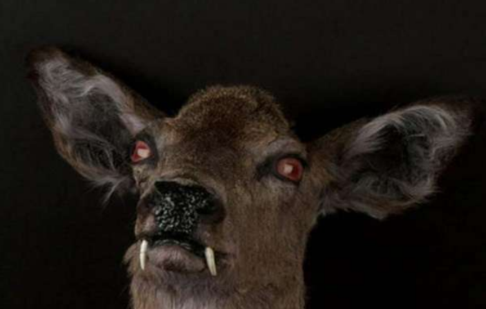 春夜雨无声|5种在科幻片种才有可能看到的生物却真实存在，你认识哪一种？