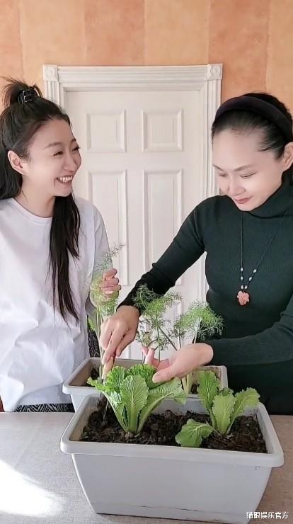 斛珠夫人|于文华与小30岁女星同框，56岁依旧保养佳，皮肤紧致腰身纤细