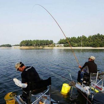 饵料|钓鱼久不代表技术好，掌握这四大技巧，你也是高手！——盛世三渔