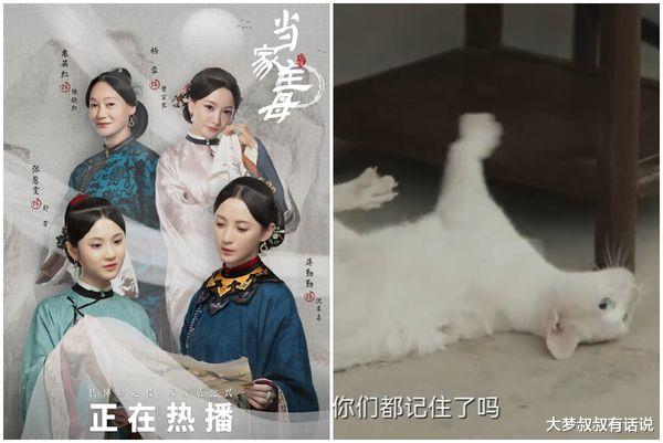 ELLE|剧组遭轰为戏毒死猫！PO影片澄清“非真死”网友火大抓包2疑点：假的