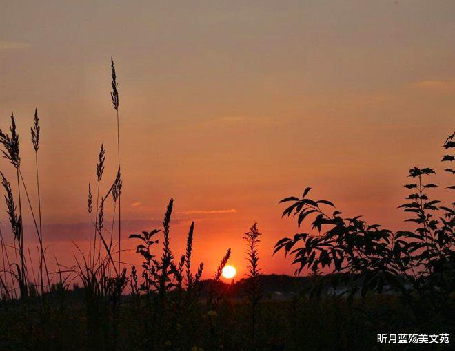 昕月蓝殇美文苑|爱你如初,此生,有你足矣