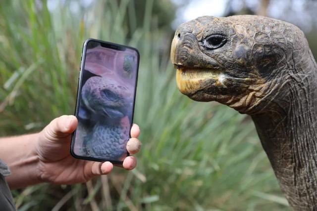 纳米 外媒：COP15是我们最后也是最好的机会