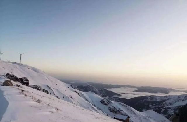 家有二宝育儿|太反常了!蛇不冬眠出没在家中,暗示了什么?网友:快去准备冬眠