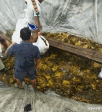 “那些欠网贷不还的人,现在咋样了?网友们的评论很真实啊”