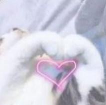 黄龙|什么是快乐五一？快来跟TA们一起研究！