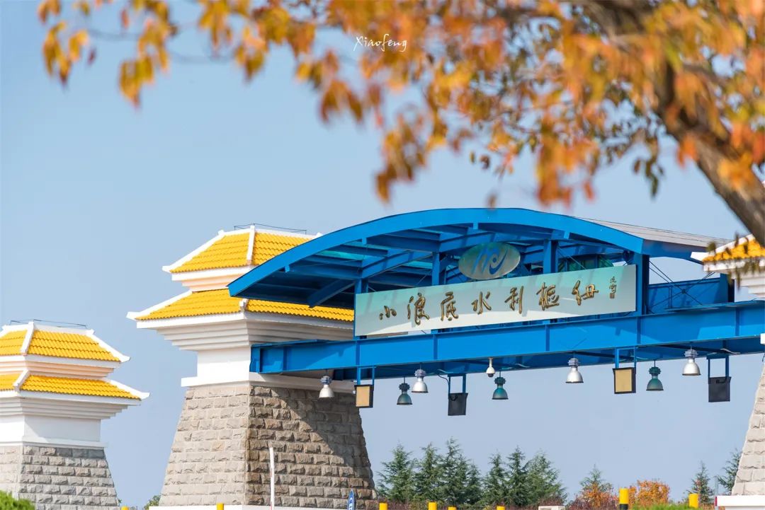 银川|均价9149 元/m2!11月份洛阳房价地图新鲜出炉!