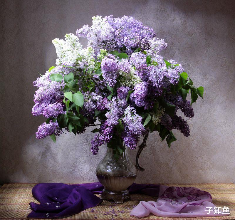 子知鱼|只能靠吸引追到手，否则容易让你在爱情中吃苦头的星座，请细品