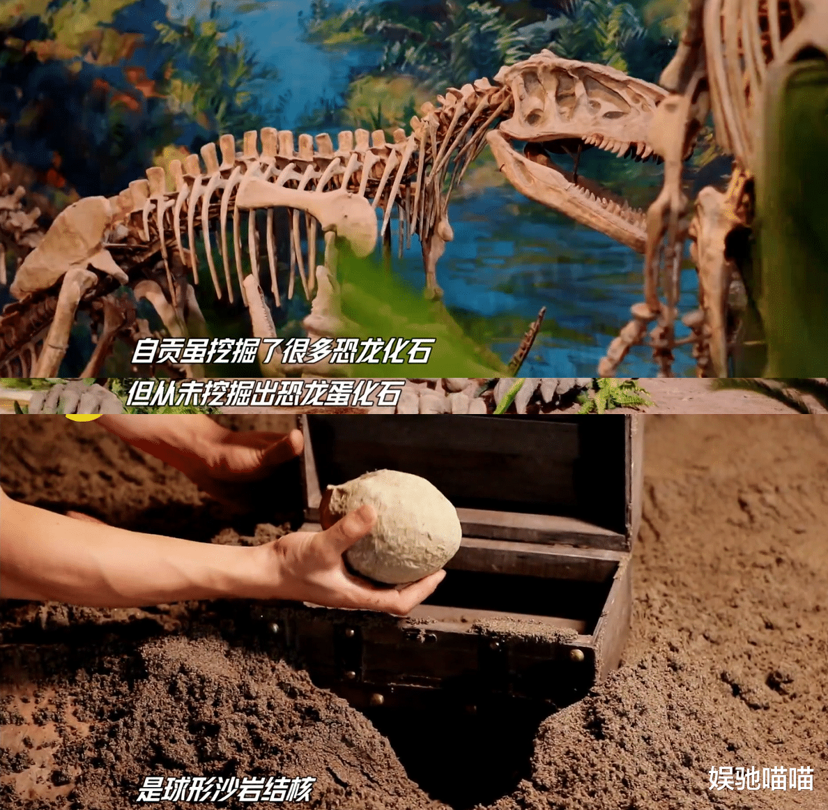 恐龙 天天向上：王一博拉恐龙尾巴，差点敲坏化石？是暖心聪明的皮孩子