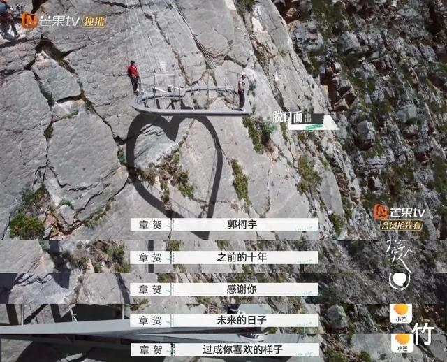 魏巍|恭喜，他们终于离婚了！