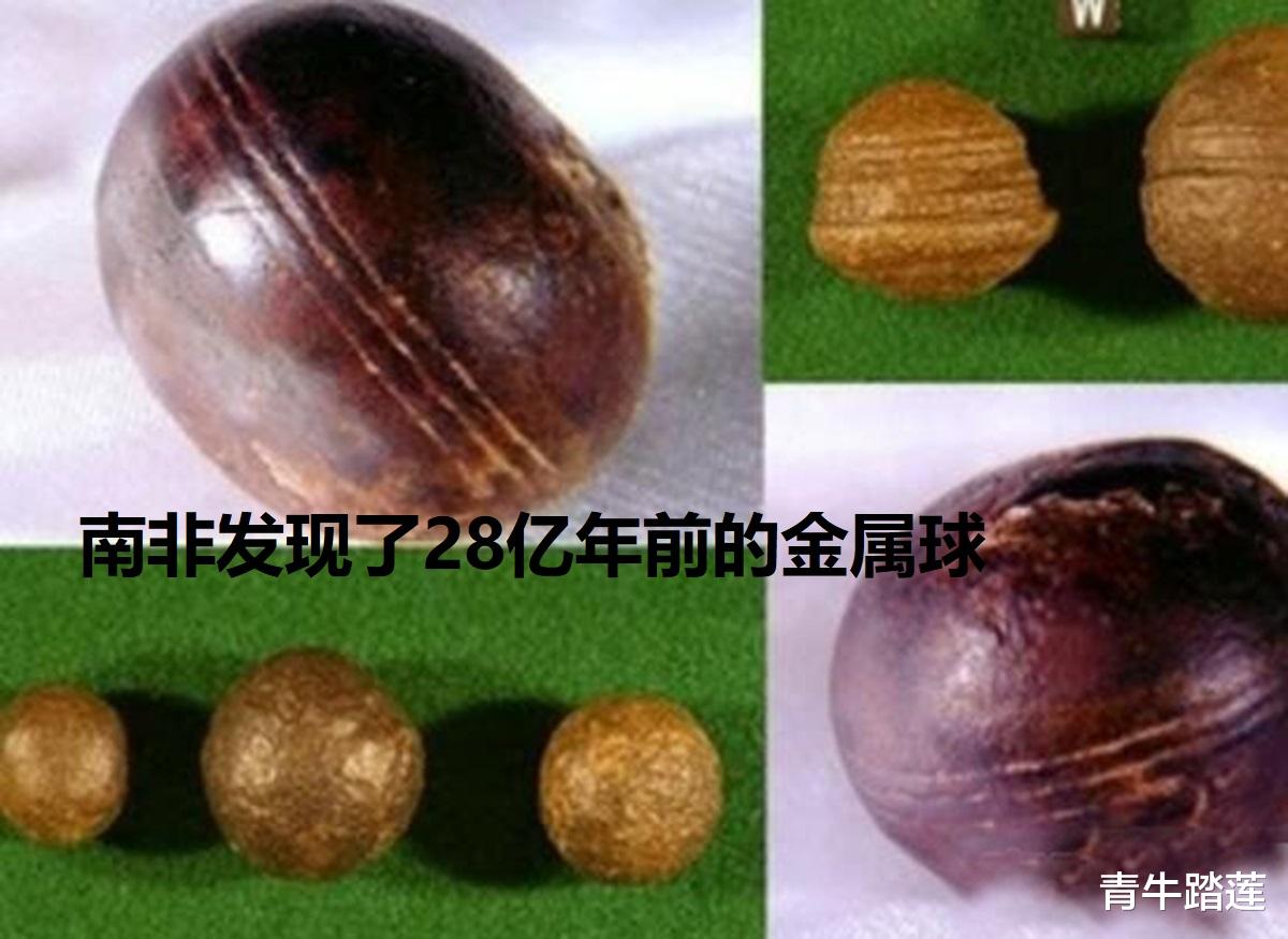 |进化论：人是猴子进化来的。非得给人类找个畜生的祖宗吗？